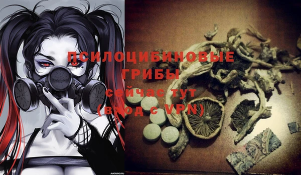 эйфоретик Алексин