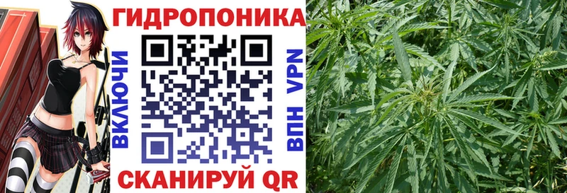 Шишки марихуана индика  где купить   Пласт 